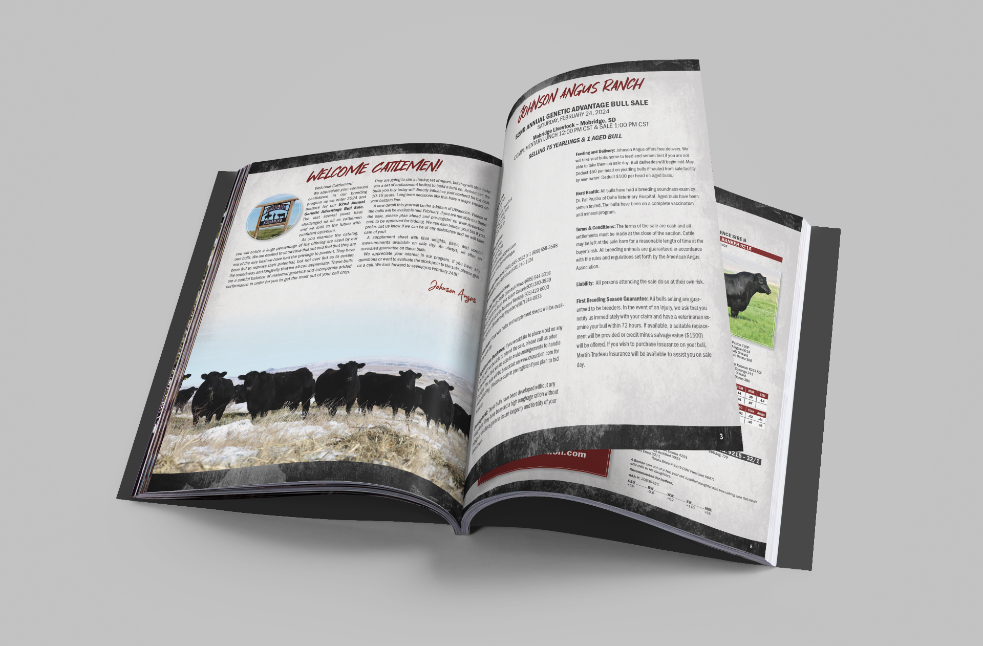 Johnson-Rose Angus Bull Catalog